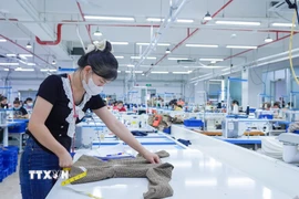 Hoạt động sản xuất tại Công ty TNHH May mặc Destination.(Ảnh: TTXVN phát)