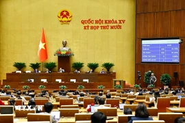 Quốc hội biểu quyết thông qua Luật sửa đổi, bổ sung một số điều Luật Kinh doanh bảo hiểm. (Ảnh: Doãn Tấn/TTXVN)