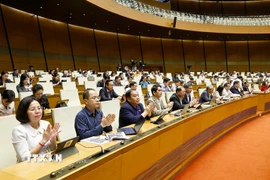 Đại biểu Quốc hội biểu quyết thông qua các luật, nghị quyết. (Ảnh: Doãn Tấn/TTXVN)