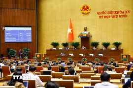 Quốc hội biểu quyết thông qua Luật sửa đổi, bổ sung một số điều của Luật Điều ước quốc tế. (Ảnh: Doãn Tấn/TTXVN)