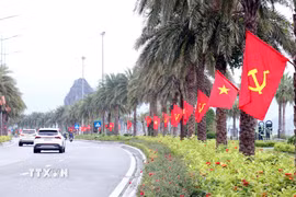 Pano, ápphích được dựng trên nhiều tuyến phố tại tỉnh Quảng Ninh. (Ảnh: Văn Đức/TTXVN)