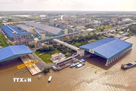 Tỉnh Cà Mau sẽ tập trụng vào xây dựng các vùng nguyên liệu tập trung gắn với chế biến sâu, đáp ứng tiêu chuẩn quốc tế. (Ảnh: Huỳnh Anh/TTXVN)
