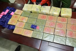 (Ảnh minh họa: TTXVN phát)