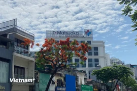 Đường phố Hà Nội. (Nguồn: Vietnam+)