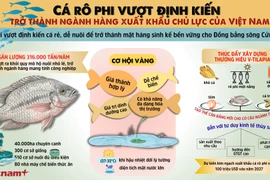 Cá rô phi vượt định kiến, trở thành mặt hàng xuất khẩu chủ lực