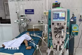 Các cháu nhỏ đang được cấp cứu, điều trị tại bệnh viện Nhi tỉnh Gia Lai sau khi bị ong vò vẽ đốt. (Ảnh: TTXVN phát)