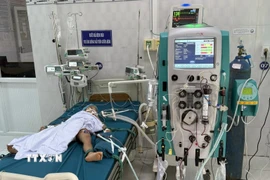 Các cháu nhỏ đang được cấp cứu, điều trị tại bệnh viện Nhi tỉnh Gia Lai sau khi bị ong vò vẽ đốt. (Ảnh: TTXVN phát)