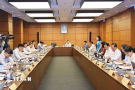 Đoàn đại biểu Quốc hội TP Hồ Chí Minh thảo luận ở tổ. (Ảnh: Doãn Tấn/TTXVN)