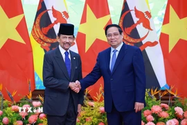 Thủ tướng Phạm Minh Chính hội kiến Quốc vương Brunei Darussalam Haji Hassanal Bolkiah. (Ảnh: Dương Giang/TTXVN)