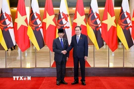 Chủ tịch Quốc hội Trần Thanh Mẫn hội kiến Quốc vương Brunei Darussalam Haji Hassanal Bolkiah. (Ảnh: Doãn Tấn/TTXVN)