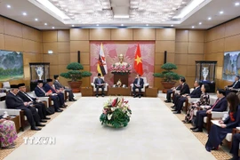 Chủ tịch Quốc hội Trần Thanh Mẫn hội kiến Quốc vương Brunei Darussalam Haji Hassanal Bolkiah. (Ảnh: Doãn Tấn/TTXVN)