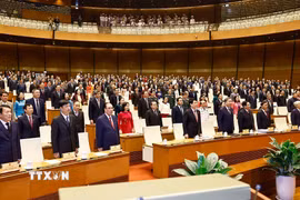 Tổng Bí thư Tô Lâm và các đồng chí lãnh đạo, nguyên lãnh đạo Đảng, Nhà nước và đại biểu thực hiện nghi thức chào cờ. (Ảnh: Doãn Tấn/TTXVN)