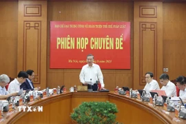 Tổng Bí thư Tô Lâm phát biểu. (Ảnh: Thống Nhất/TTXVN)