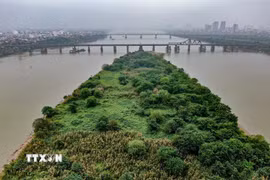 Theo Dự thảo Nghị quyết đang được thành phố lấy ý kiến rộng rãi, diện tích xây dựng công trình trong mô hình kết hợp không vượt quá 15% tổng diện tích khu đất. (Ảnh: Trung Nguyên/TTXVN)