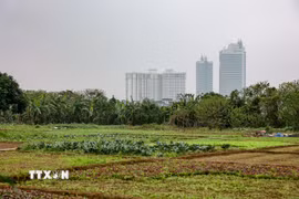 Hà Nội vừa thông báo thu hồi đất, chấm dứt hoạt động đối với 24 dự án đầu tư sử dụng vốn ngoài ngân sách có sử dụng đất chậm triển khai trên địa bàn thành phố. (Nguồn: TTXVN)