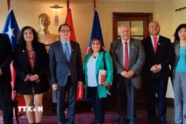 Đoàn công tác vùng Los Ríos của Chile cùng Đại sứ Việt Nam tại Chile Nguyễn Việt Cường tại buổi gặp. (Ảnh: TTXVN phát)