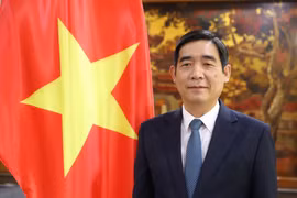 Đại sứ Việt Nam tại Thái Lan Phạm Việt Hùng. (Ảnh: Đỗ Sinh/TTXVN)