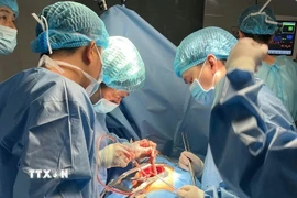 Ca phẫu thuật được các bác sĩ Bệnh viện Quân y 175 thực hiện ngay tại đặc khu Trường Sa. (Ảnh: TTXVN phát)