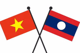 Ảnh minh họa. (Nguồn: Vietnam+)