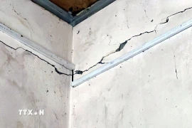 (Ảnh minh họa: Tá Chuyên/TTXVN)