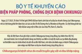 Bộ Y tế khuyến cáo các biện pháp phòng, chống dịch bệnh Chikungunya do muỗi lan truyền