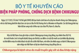 Bộ Y tế khuyến cáo các biện pháp phòng, chống dịch bệnh Chikungunya do muỗi lan truyền