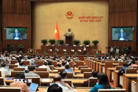 Phó Chủ tịch Quốc hội Nguyễn Đức Hải điều hành phiên họp. (Ảnh: An Đăng/TTXVN)