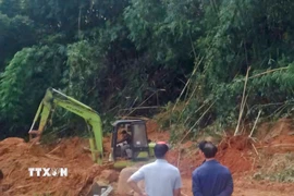 Lực lượng chức năng nỗ lực giải phóng hiện trường các điểm sạt lở để thông tuyến quốc lộ 28, đoạn qua đèo Gia Bắc (xã Sơn Điền, Lâm Đồng). (Ảnh: TTXVN phát)