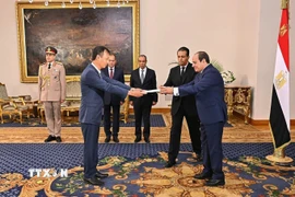 Đại sứ Nguyễn Nam Dương trình Quốc thư lên Tổng thống Ai Cập Abdel Fattah Al-Sisi. (Ảnh: TTXVN phát)