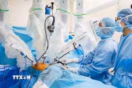 Ảnh minh họa (Nguồn: TTXVN phát)