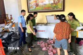 Thanh Hóa: Phát hiện, thu giữ 290 cá thể Cò hương cấp đông chờ tiêu thụ