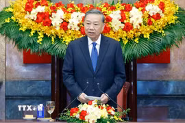 Tổng Bí thư, Chủ tịch nước Tô Lâm phát biểu tại buổi tiếp. (Ảnh: Thống Nhất/TTXVN)