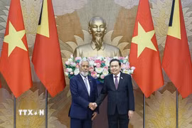 Chủ tịch Quốc hội Trần Thanh Mẫn hội kiến Thủ tướng nước Cộng hòa Dân chủ Timor-Leste Kay Rala Xanana Gusmão.(Ảnh: Doãn Tấn/TTXVN)