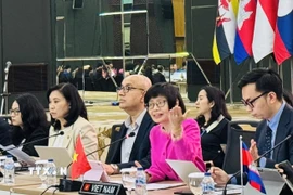 Đại sứ Tôn Thị Ngọc Hương, Trưởng Phái đoàn đại diện thường trực Việt Nam tại ASEAN chủ trì Cuộc họp. (Ảnh: Đỗ Quyên/TTXVN)