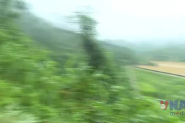 Cận cảnh điểm nứt vỡ tại đập thủy điện Bắc Khê-Lạng Sơn