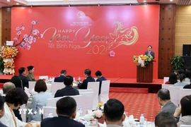 Đồng chí Lê Hoài Trung, Bí thư Trung ương Đảng, Bộ trưởng Bộ Ngoại giao phát biểu tại buổi gặp mặt. (Ảnh: An Đăng/TTXVN)