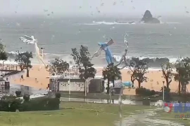 Bão Wipha vào Trung Quốc, gió thổi dữ dội, cây cối gãy đổ, sóng biển dâng cao