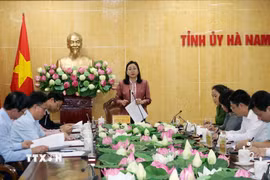 Phó Bí thư Thường trực Tỉnh ủy Hà Nam Đinh Thị Lụa phát biểu tại Hội nghị. (Ảnh: Nguyễn Chinh/TTXVN)