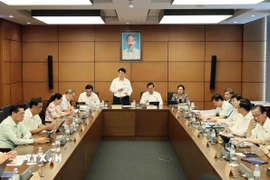 Chủ tịch nước Lương Cường, đại biểu Quốc hội Thành phố Hồ Chí Minh phát biểu tại tổ. (Ảnh: An Đăng/TTXVN)