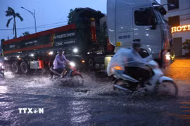 Ảnh minh họa. (Ảnh: Văn Điệp/TTXVN)
