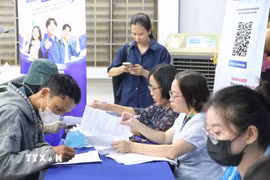Người lao động tham gia tìm việc tại Ngày hội việc làm ở trụ sở Trung tâm Dịch vụ việc làm Thành phố Hồ Chí Minh. (Ảnh: Thanh Vũ/TTXVN)