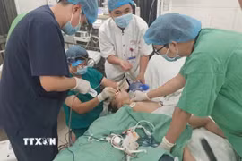 Kịp thời cứu sống bệnh nhi mắc hạt hướng dương đường thở. (Ảnh: TTXVN phát)