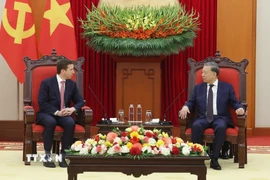Tổng Bí thư Tô Lâm tiếp Giám đốc điều hành Quỹ đầu tư Warburg Pincus (Hoa Kỳ) Jeffrey David Perlman. (Ảnh: Thống Nhất/TTXVN)