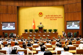 Quang cảnh phiên họp. (Ảnh: Doãn Tấn/TTXVN)