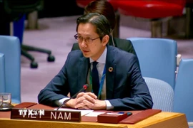 Đại sứ Đỗ Hùng Việt phát biểu tại phiên thảo luận của Hội đồng Bảo an Liên hợp quốc. (Ảnh: Thanh Tuấn/TTXVN)