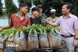 Số cây giống được tiếp nhận tại Đại hội. (Ảnh: Cao Nguyên/TTXVN)