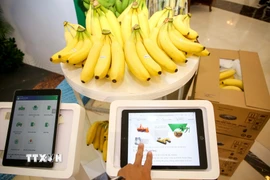 truy xuất nguồn gốc sản xuất. (Ảnh: Giang Phương/TTXVN)