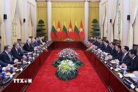 Chủ tịch nước Lương Cường hội đàm với Tổng thống Litva Gitanas Nauseda. (Ảnh: Lâm Khánh/TTXVN)