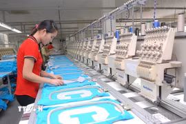 Dây chuyền sản xuất hàng may mặc xuất khẩu tại Công ty Liên doanh Norfolk Hatexco (vốn đầu tư của Singapore) tại Khu công nghiệp Đồng Văn I (Hà Nam). (Ảnh: Danh Lam/TTXVN)