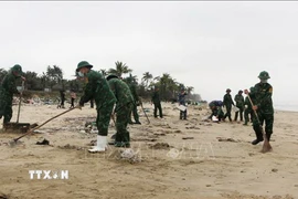 Các lực lượng khẩn trương thu gom dầu tràn vón cục trôi dạt vào bờ biển huyện Phú Lộc. (Ảnh: Tường Vi/TTXVN)